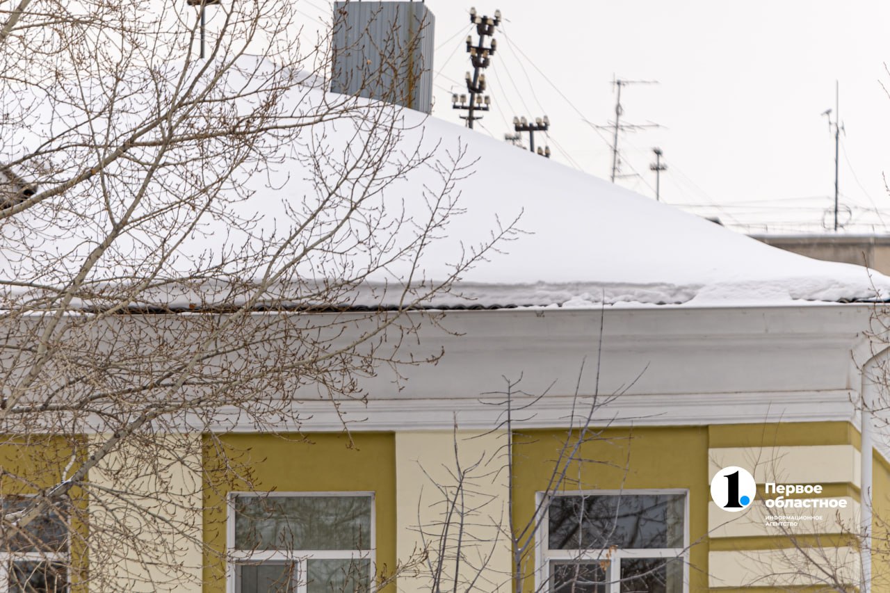 photo_2026-02-17_13-13-08.jpg photo_2026-02-17_13-13-08.jpg