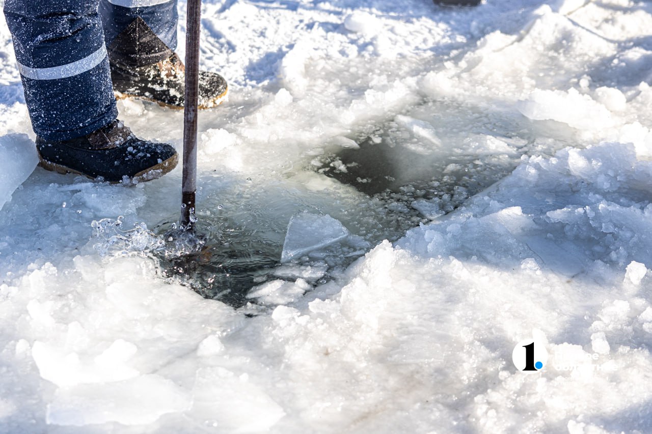 распиловка 14.jpg распиловка 14.jpg