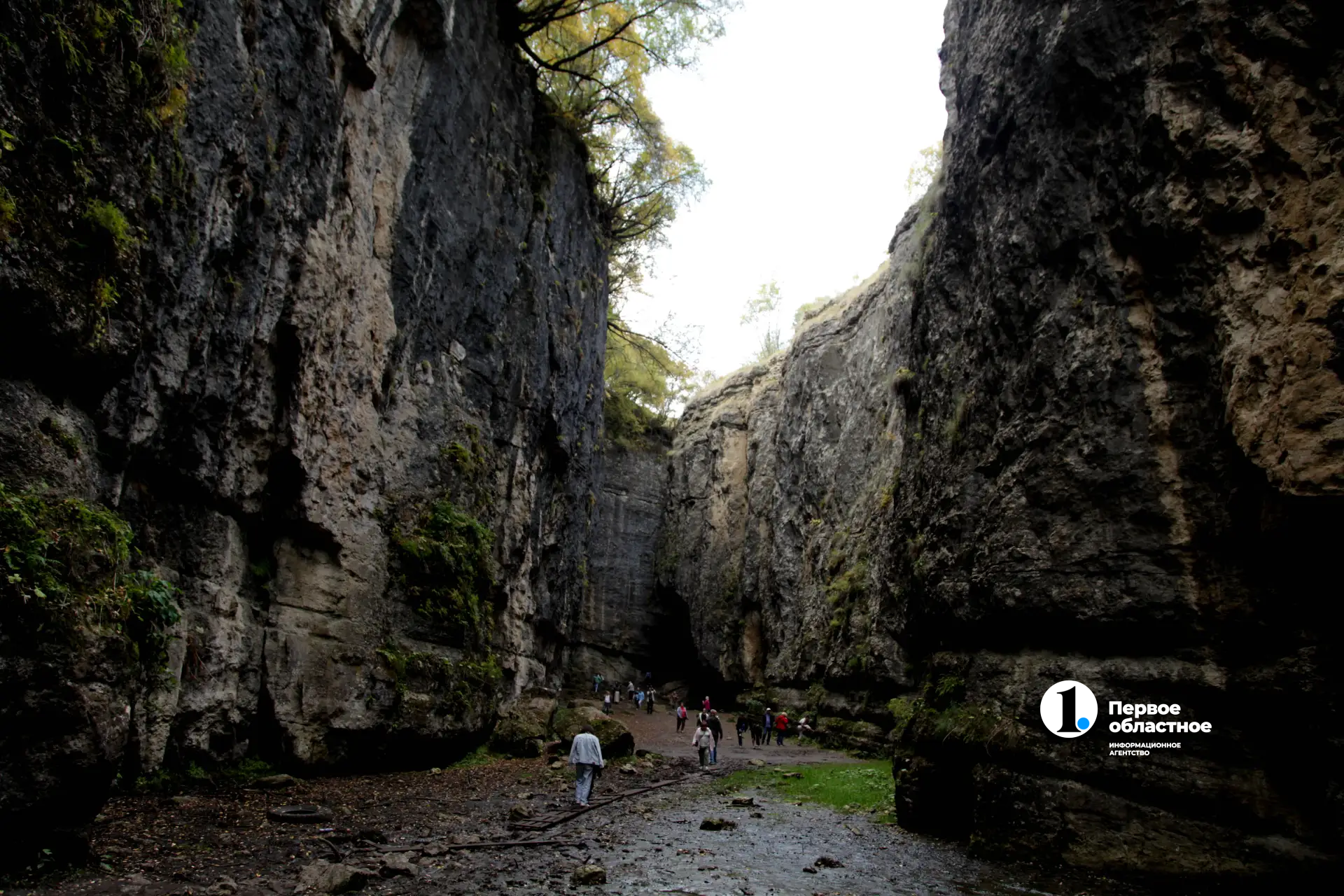 IMG_20260408_151429 (1).png IMG_20260408_151429 (1).png